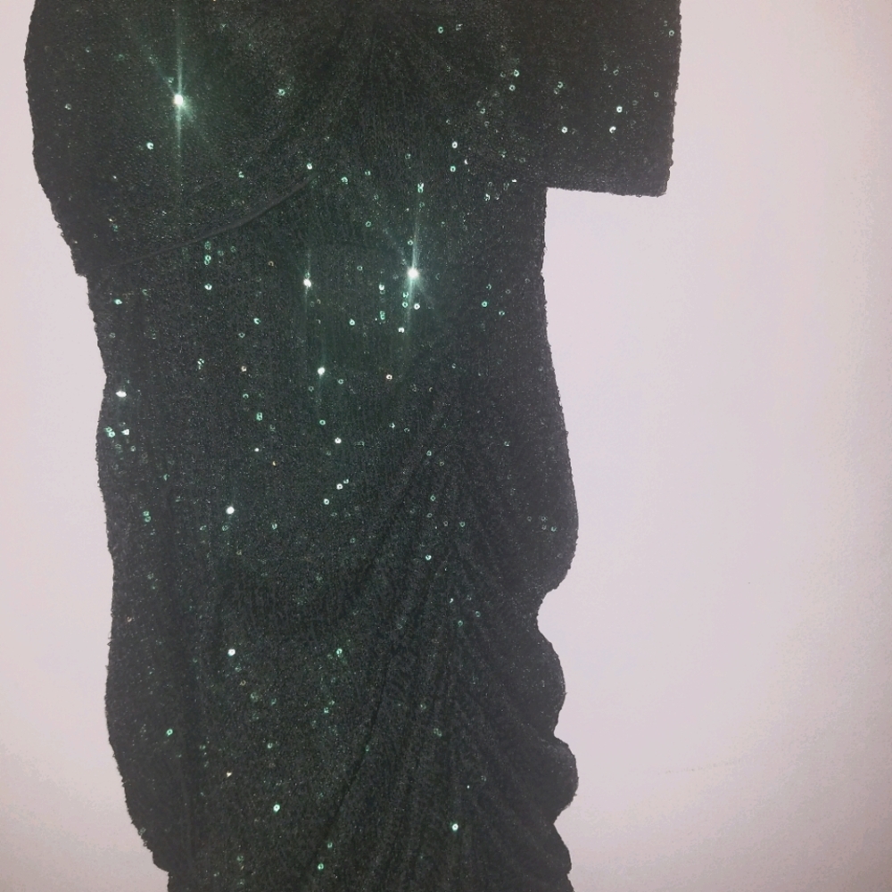 Sequin  dress   dark green